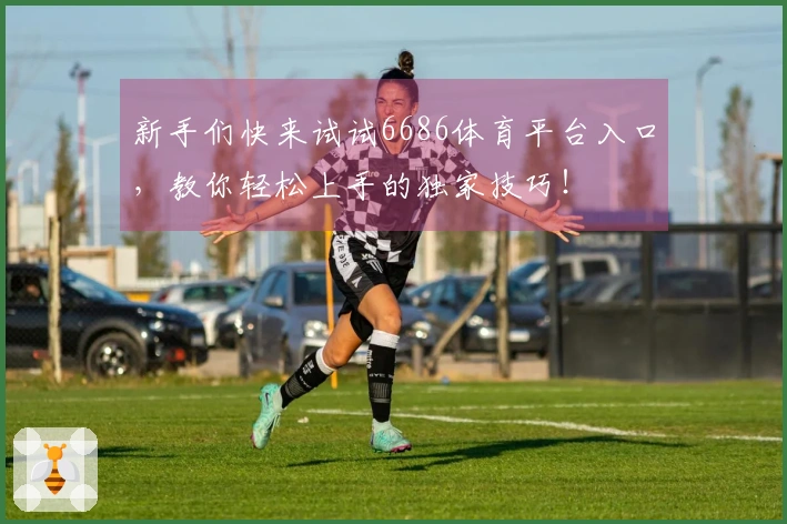 新手们快来试试6686体育平台入口,教你轻松上手的独家技巧!