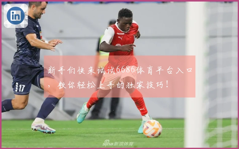 新手们快来试试6686体育平台入口，教你轻松上手的独家技巧！